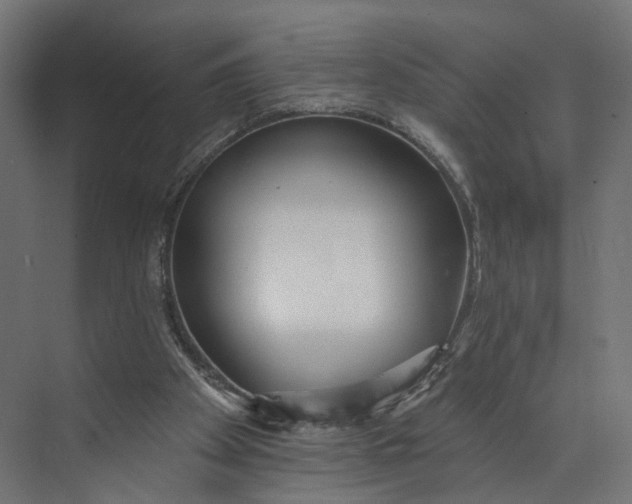 X0000073710105200608241453