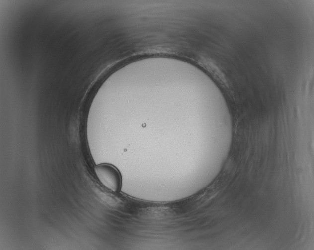 X0000073710108200608241453