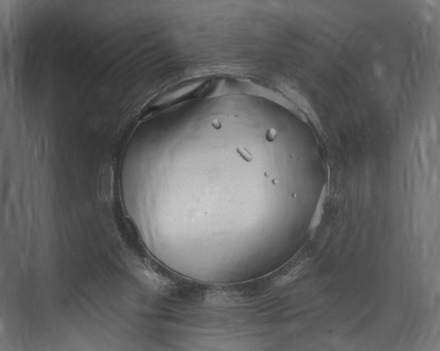 X0000073710109200608241453