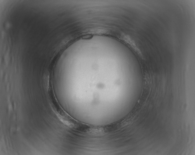 X0000073710110200608241453