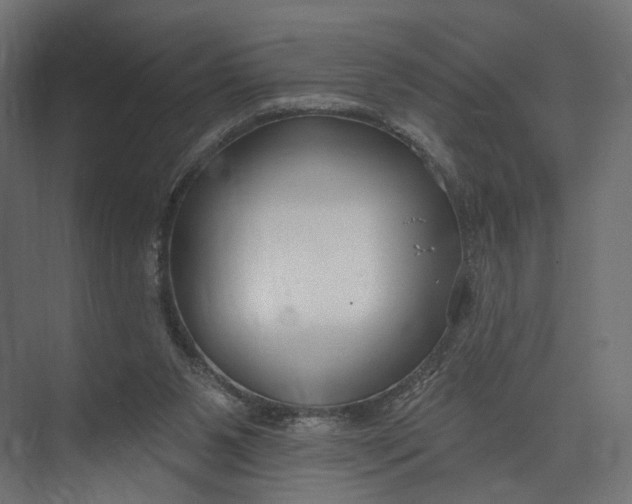 X0000073710111200608241453