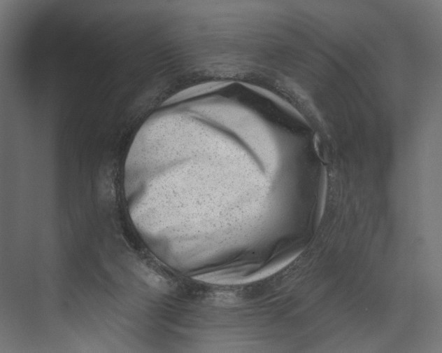 X0000073710114200608241453