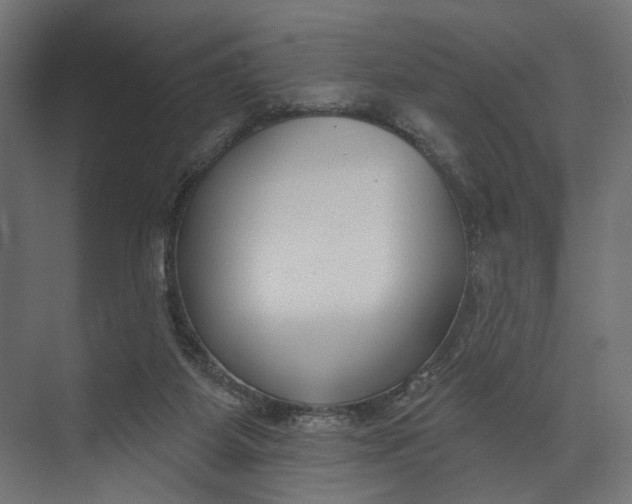 X0000073710115200608241453