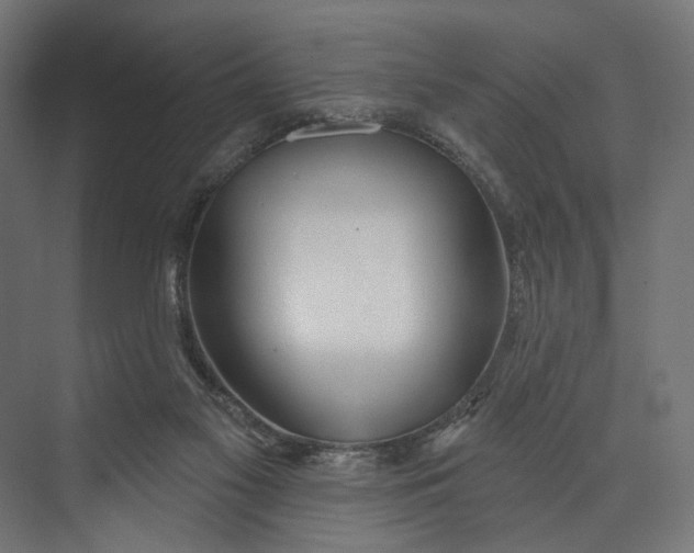 X0000073710117200608241453