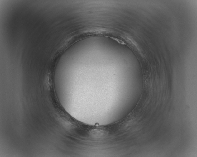 X0000073710119200608241453