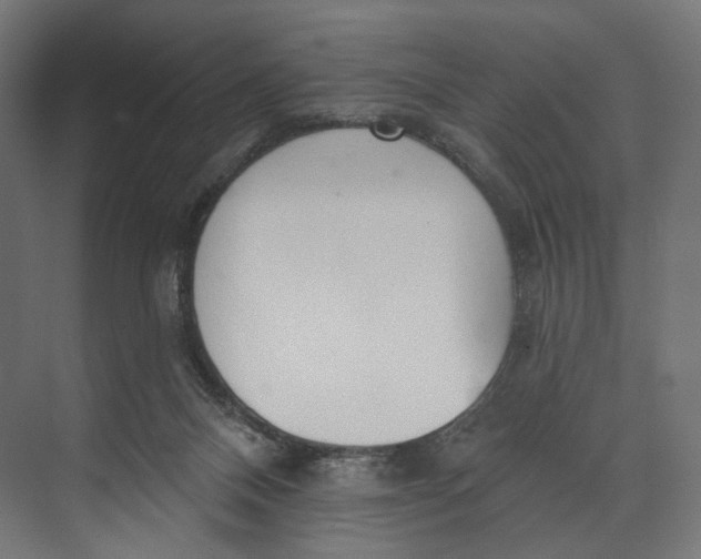 X0000073710120200608241453