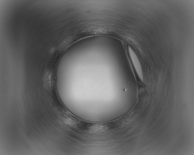 X0000073710123200608241453