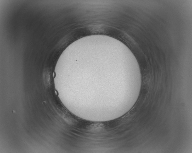 X0000073710124200608241453