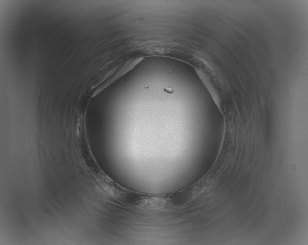 X0000073710125200608241453