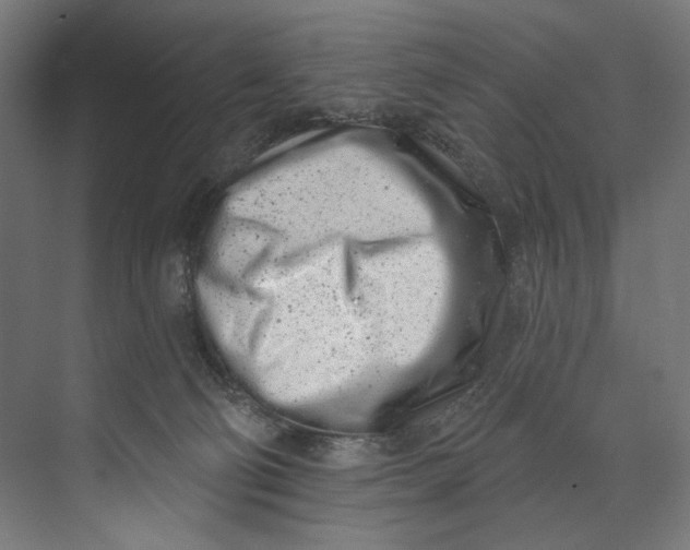 X0000073710130200608241453