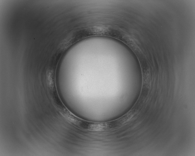 X0000073710131200608241453