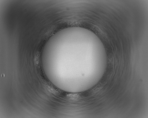 X0000073710133200608241453