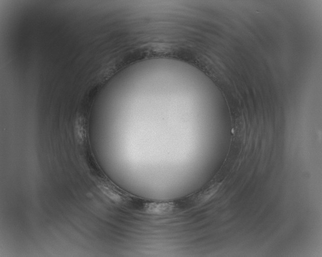 X0000073710135200608241453