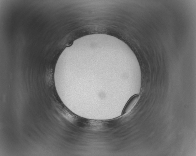 X0000073710144200608241452