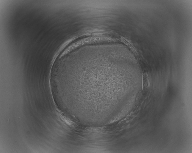 X0000073710147200608241452