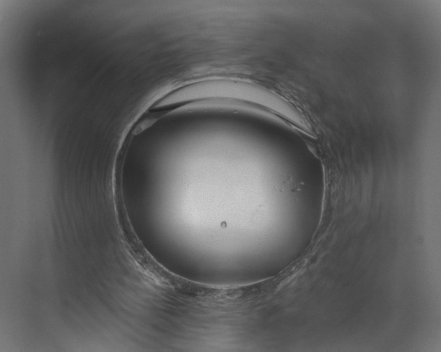 X0000073710148200608241452