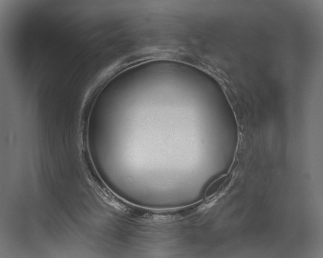 X0000073710149200608241452