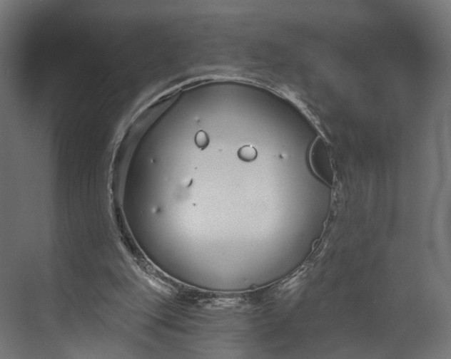 X0000073710151200608241452