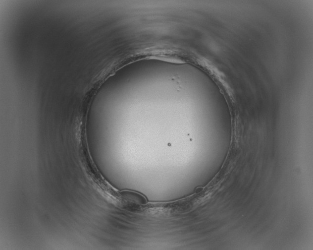 X0000073710153200608241452