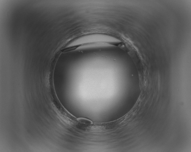 X0000073710154200608241452