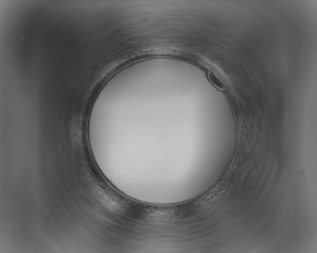 X0000073710155200608241452