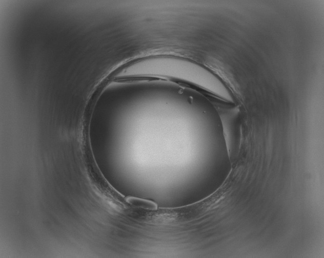 X0000073710156200608241452