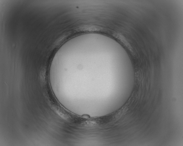 X0000073710159200608241452