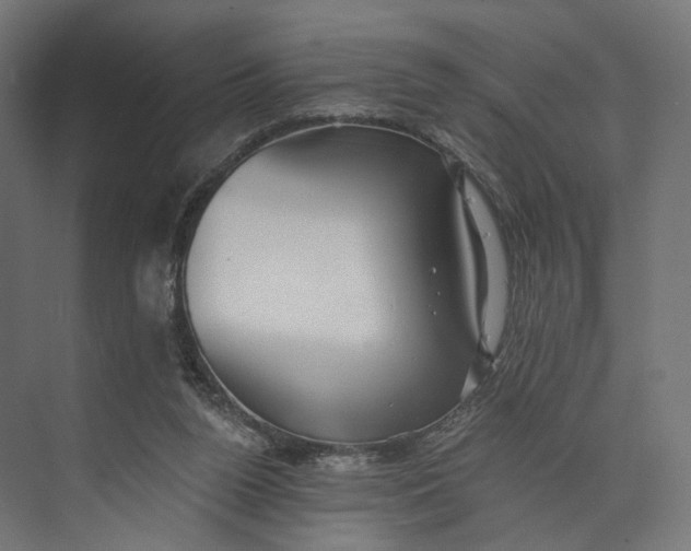 X0000073710160200608241452