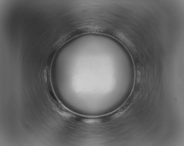 X0000073710165200608241452