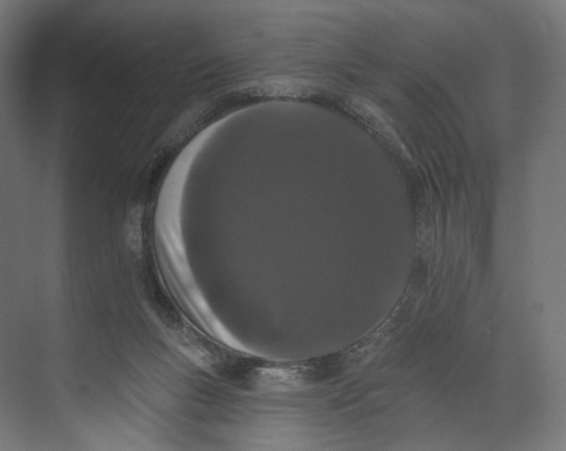 X0000073710167200608241452