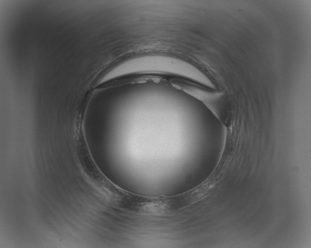 X0000073710168200608241452