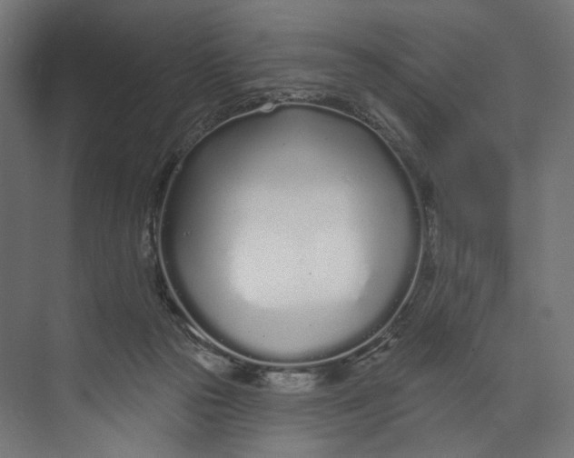 X0000073710169200608241452