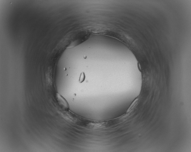 X0000073710170200608241452