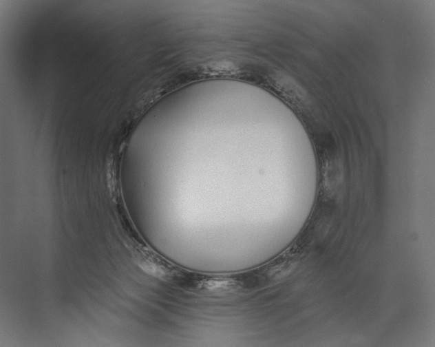 X0000073710173200608241452