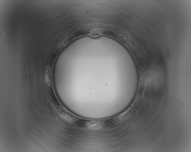 X0000073710175200608241452