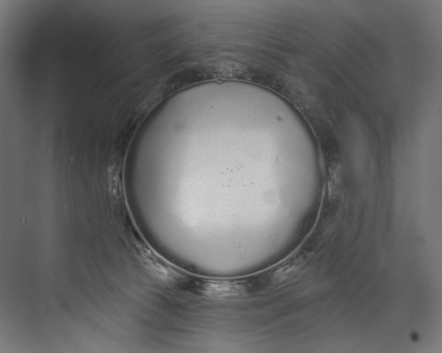 X0000073710177200608241452