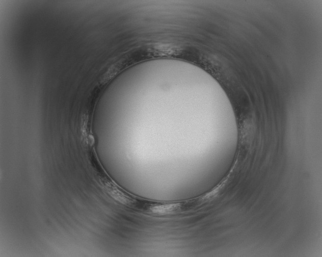 X0000073710178200608241452