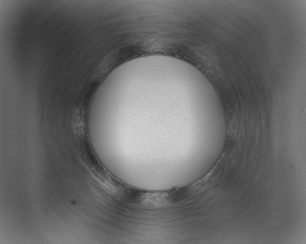 X0000073710179200608241452