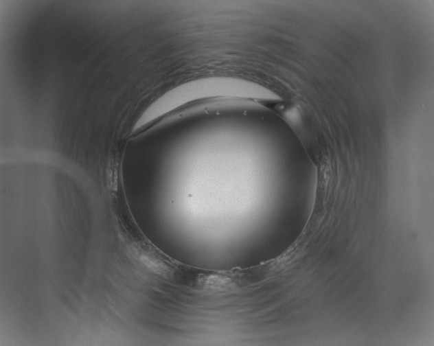 X0000073710180200608241452