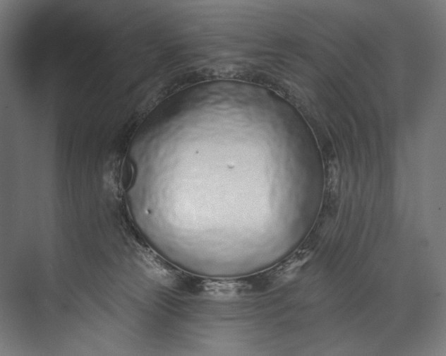 X0000073710181200608241452