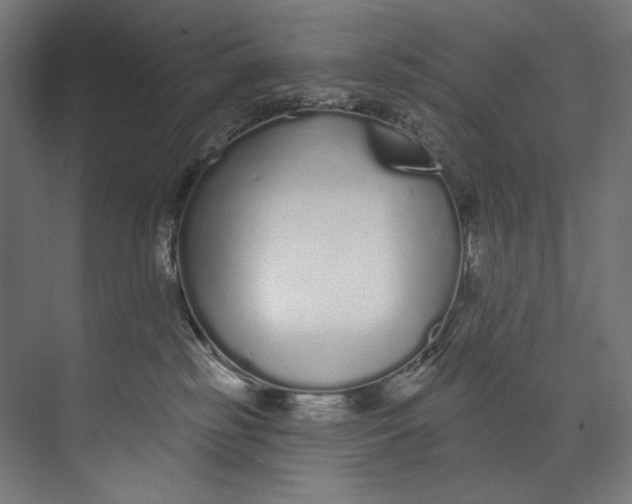 X0000073710185200608241452