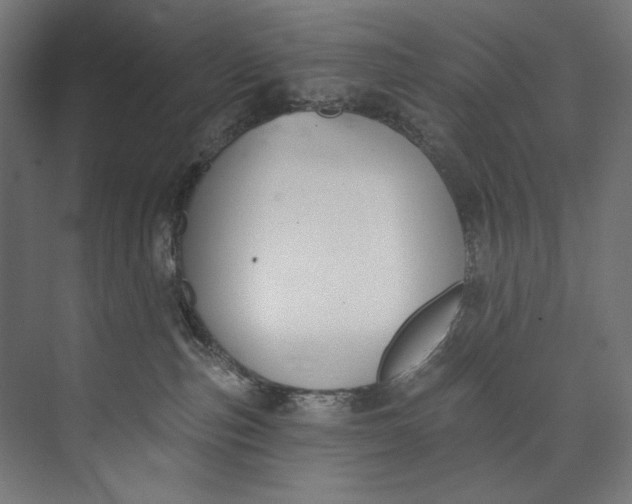 X0000073710187200608241452