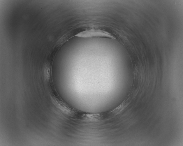 X0000073710188200608241452