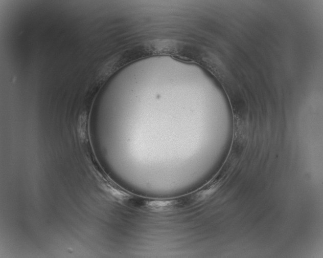 X0000073710189200608241452