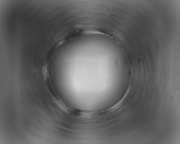 X0000073710190200608241452