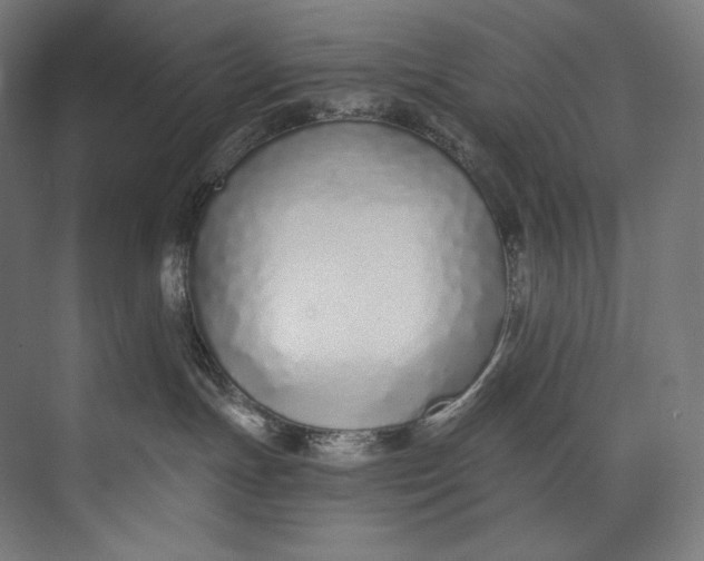 X0000073710191200608241452