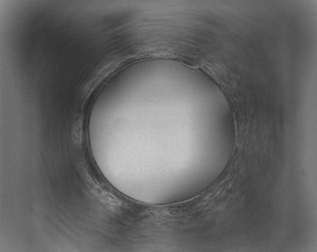 X0000073710194200608241452