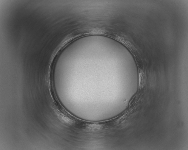 X0000073710195200608241452