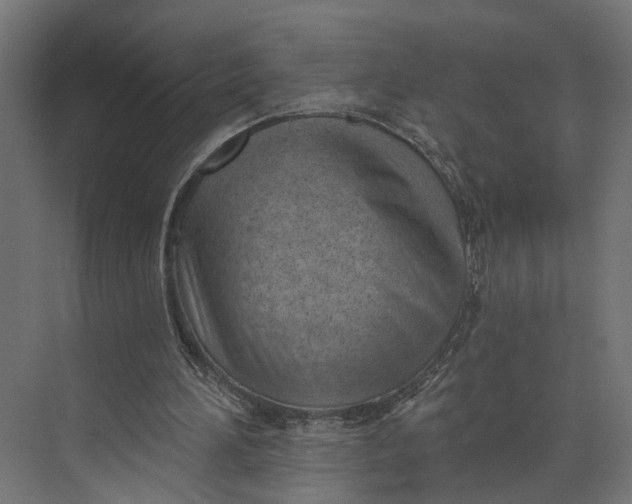 X0000073710196200608241452