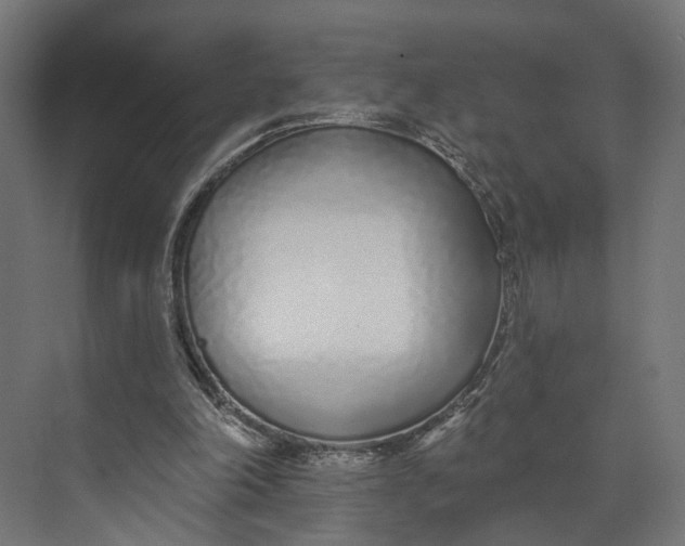 X0000073710198200608241452